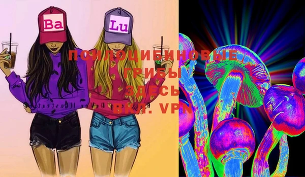 бошки Мегион