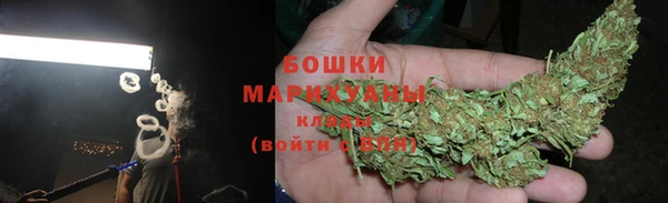 молекула духа Михайловск