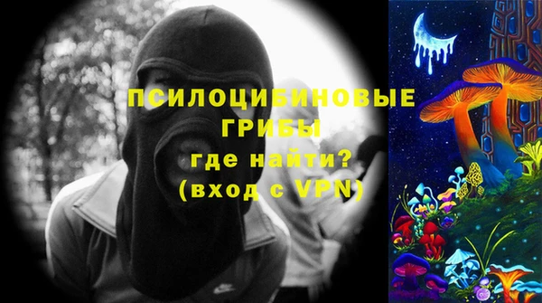 твердый Медногорск