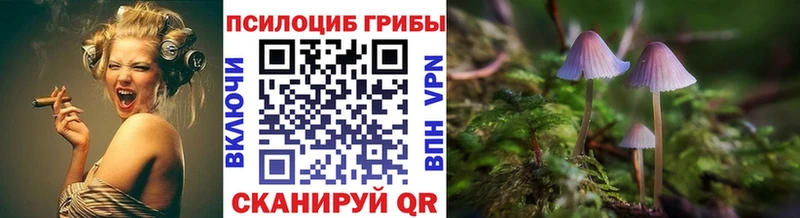 Галлюциногенные грибы ЛСД магазин продажи нарко площадка состав Чебоксары